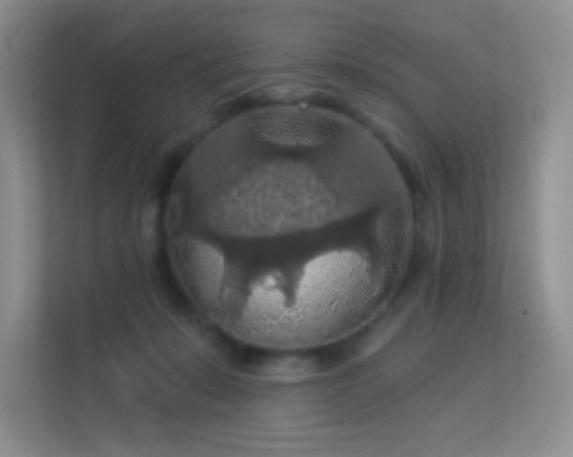 X0000113550319200909251043