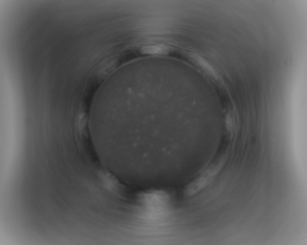 X0000113550322200909251043