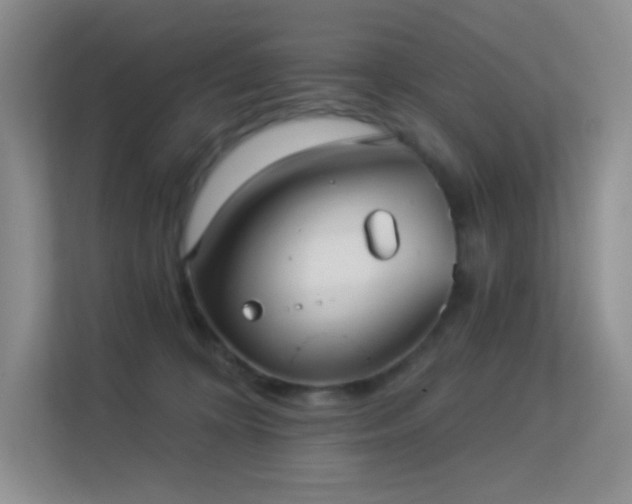 X0000113550324200909251043