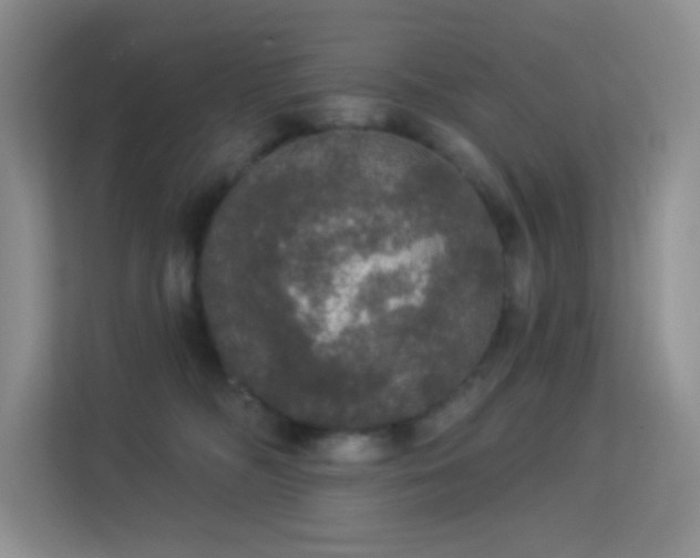 X0000113550326200909251043