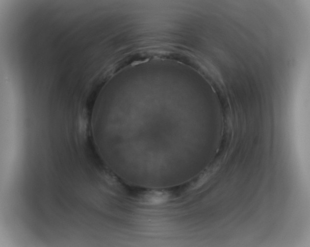 X0000113550328200909251043