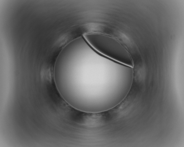 X0000113550329200909251043