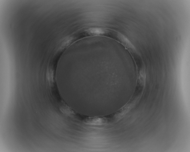 X0000113550330200909251043