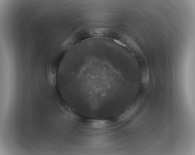 X0000113550332200909251043