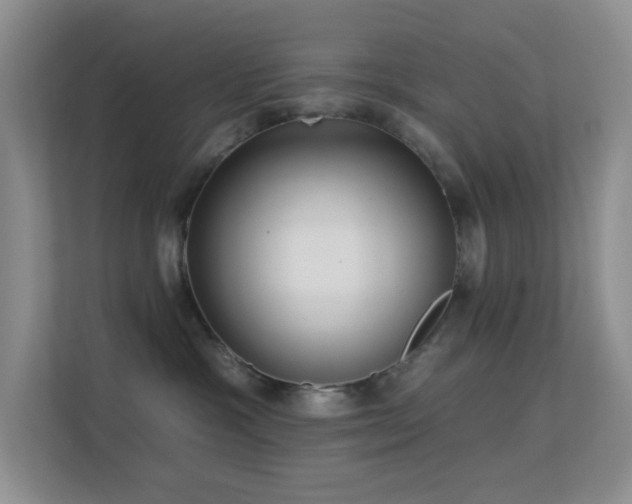 X0000113550333200909251043