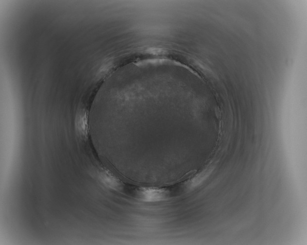 X0000113550336200909251043