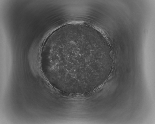 X0000113550337200909251042