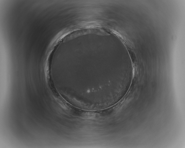 X0000113550339200909251042