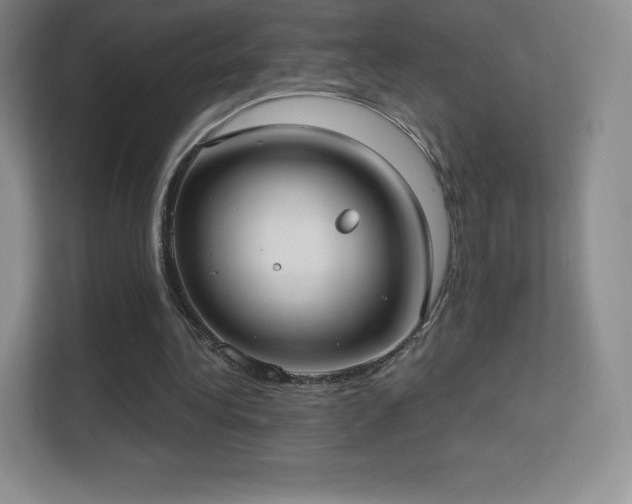 X0000113550340200909251042