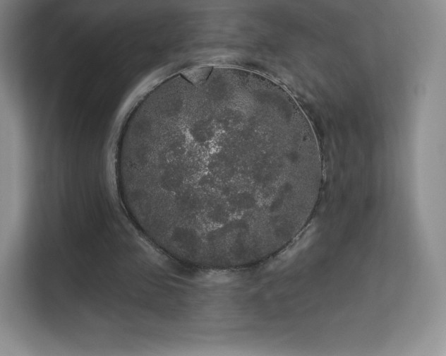 X0000113550341200909251042