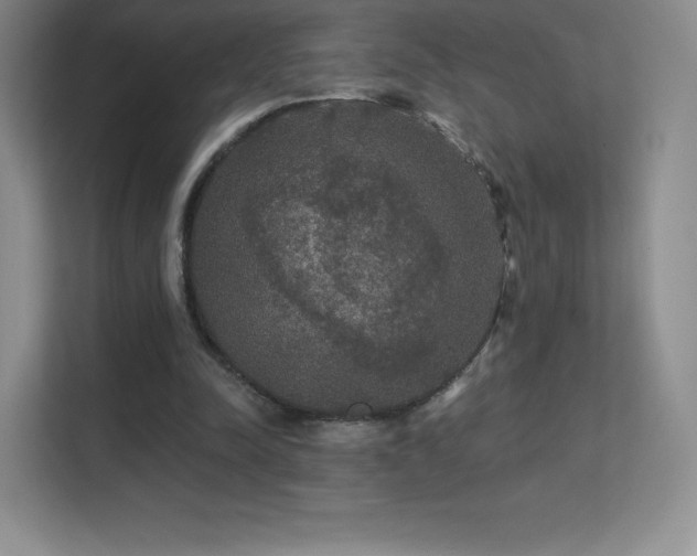 X0000113550342200909251042