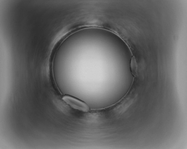 X0000113550344200909251042