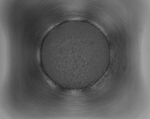 X0000113550345200909251042