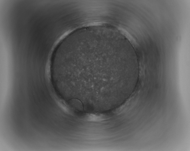 X0000113550346200909251042