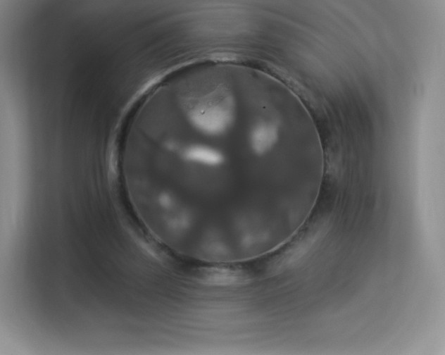 X0000113550347200909251042