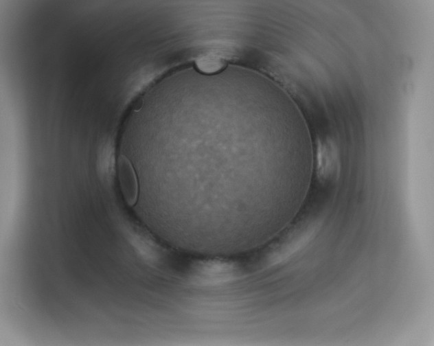 X0000113550348200909251042