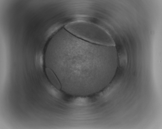 X0000113550350200909251042