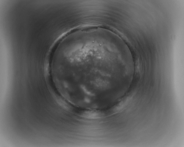 X0000113550351200909251042