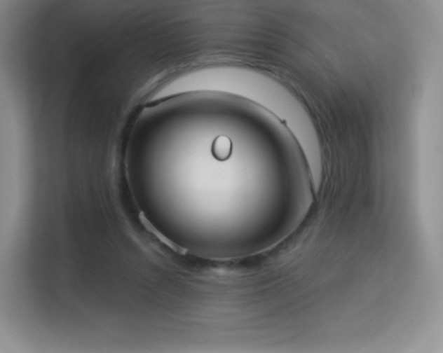 X0000113550352200909251042