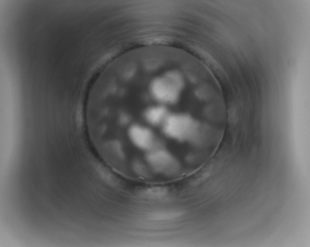 X0000113550353200909251042