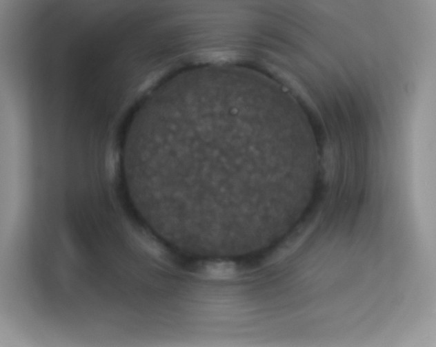 X0000113550355200909251042