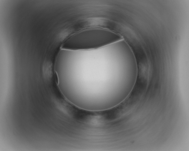 X0000113550356200909251042