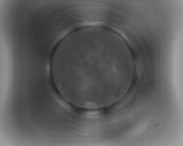 X0000113550357200909251042