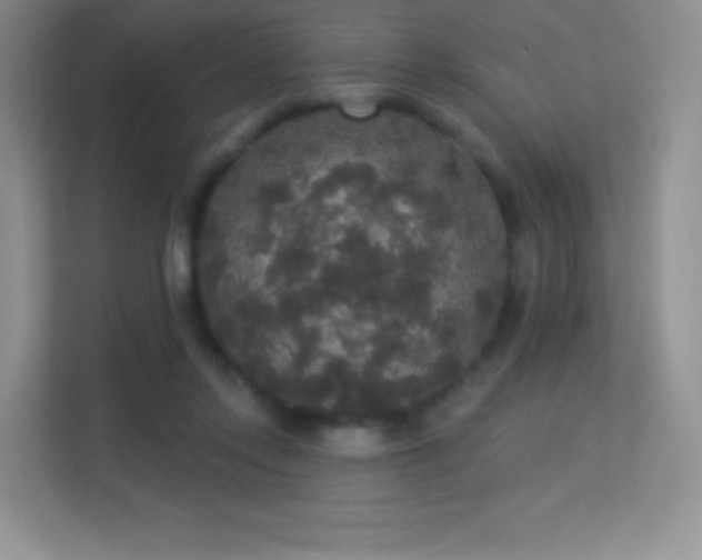 X0000113550358200909251042