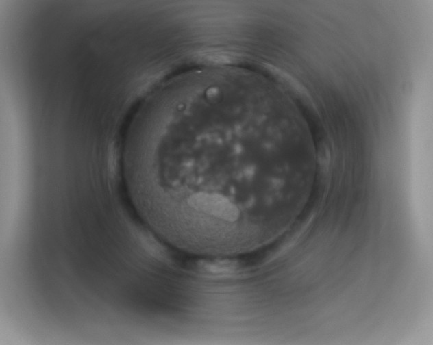 X0000113550359200909251042