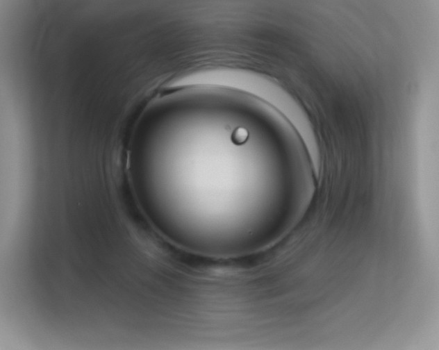 X0000113550360200909251042