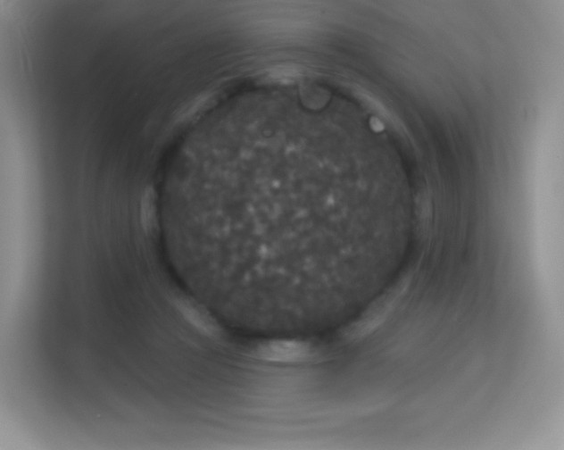 X0000113550361200909251042