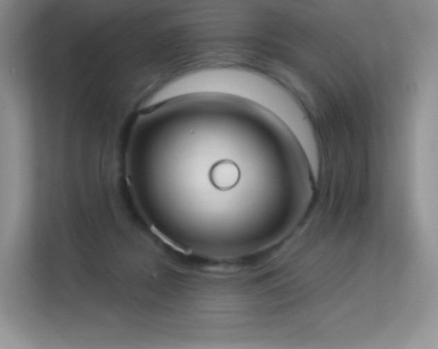 X0000113550362200909251042