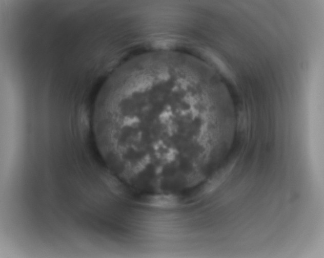 X0000113550363200909251042