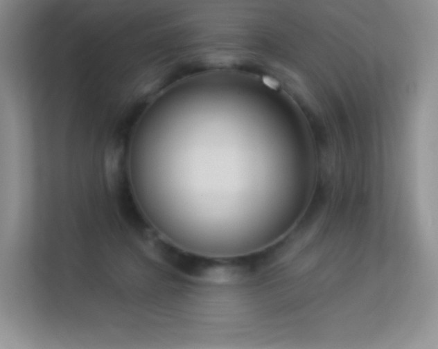 X0000113550364200909251042