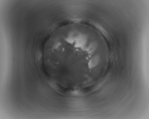 X0000113550365200909251042