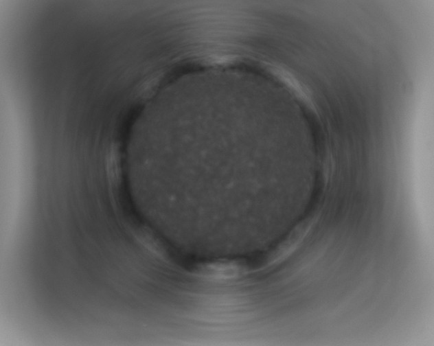 X0000113550366200909251042