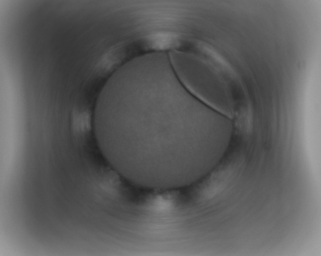 X0000113550368200909251043