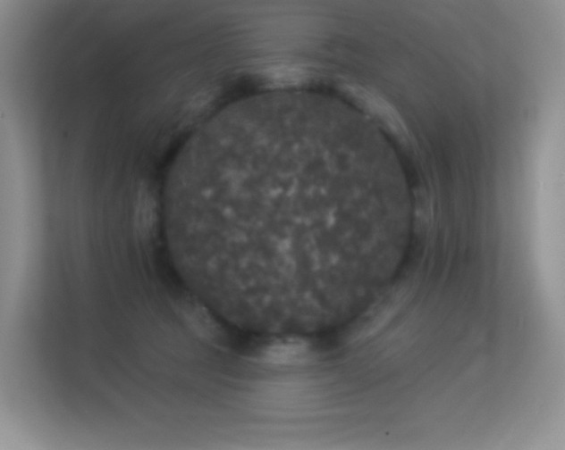 X0000113550369200909251043