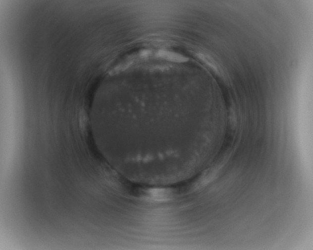 X0000113550371200909251043