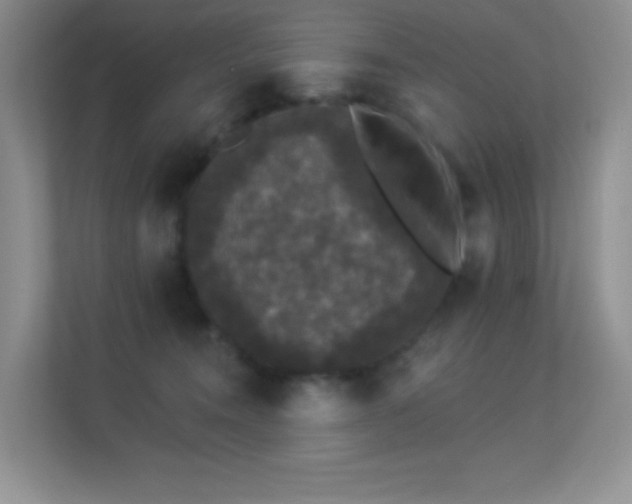 X0000113550372200909251043