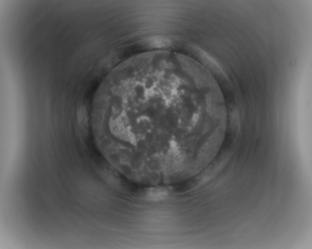 X0000113550373200909251043