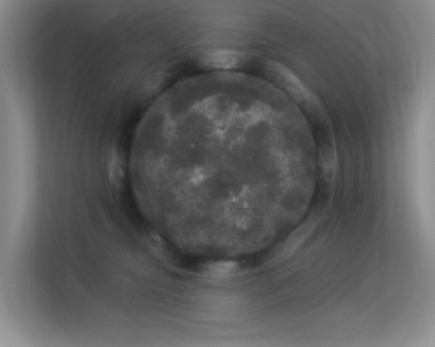 X0000113550374200909251043