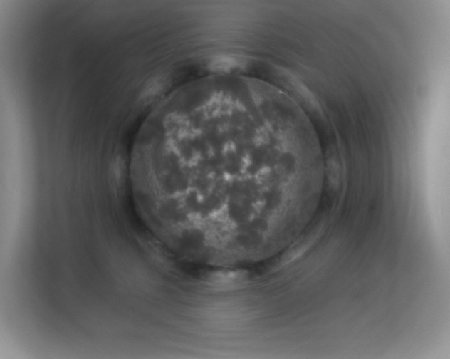 X0000113550375200909251043