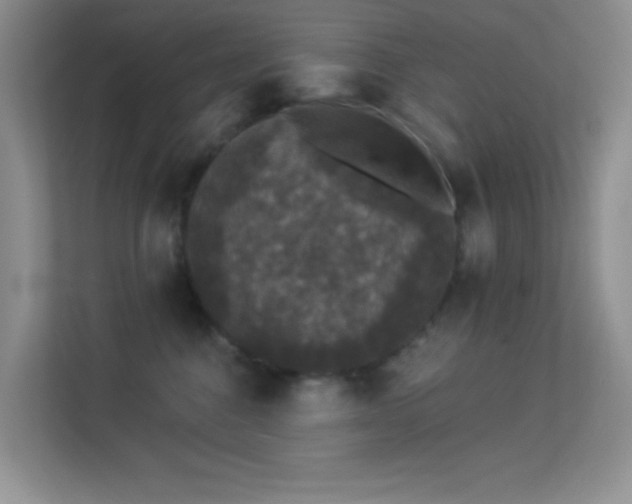 X0000113550376200909251043