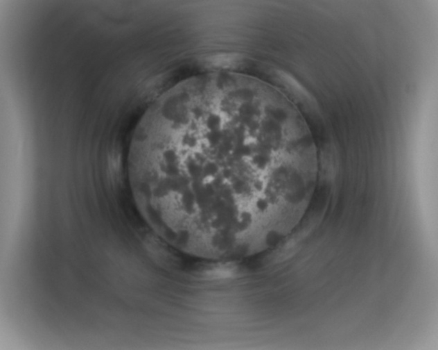 X0000113550377200909251043