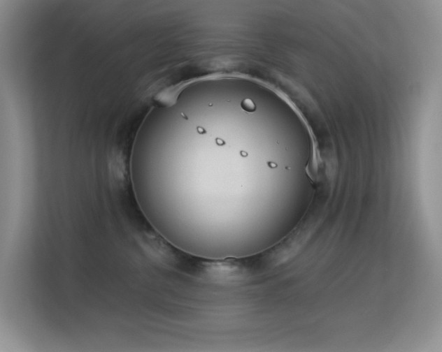 X0000113550380200909251043