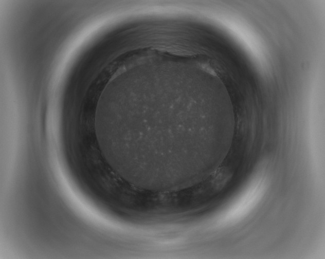 X0000113550383200909251043