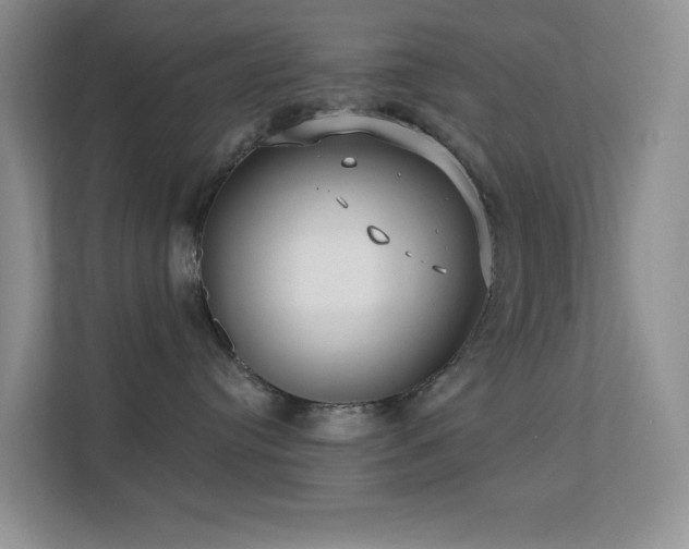 X0000113550384200909251043