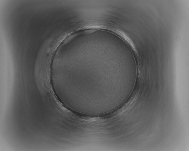 X0000113550385200909251042