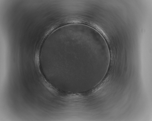 X0000113550386200909251042